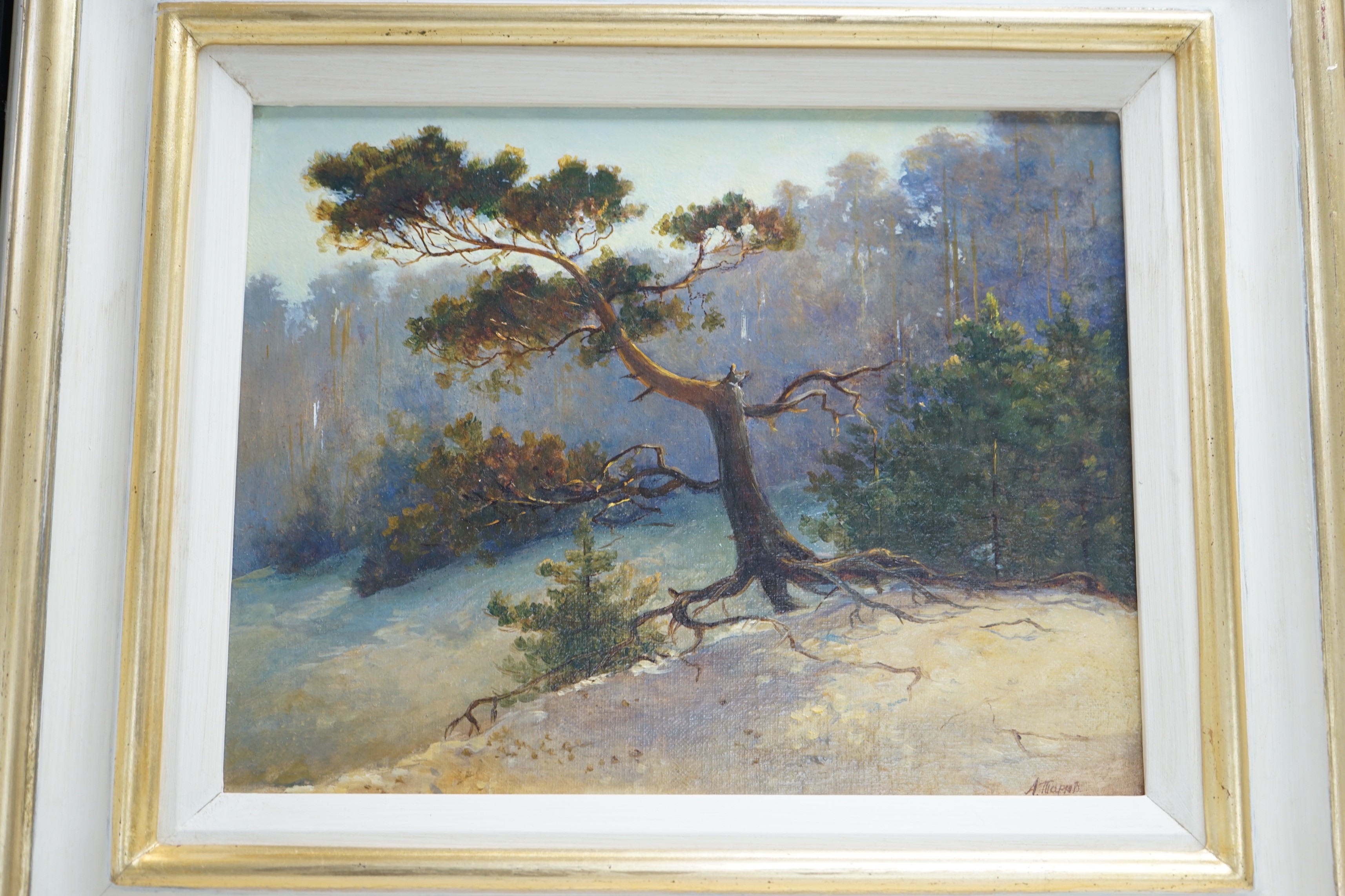 Russian School, oil on canvas, Pine tree on a hillside, signed, 20 x 26cm